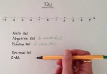 Tallinje – vad är det?