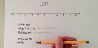 Tallinje – vad är det?