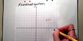 Koordinatsystemet
