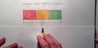 Algebra med division