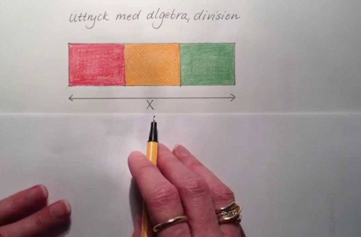 Algebra med division