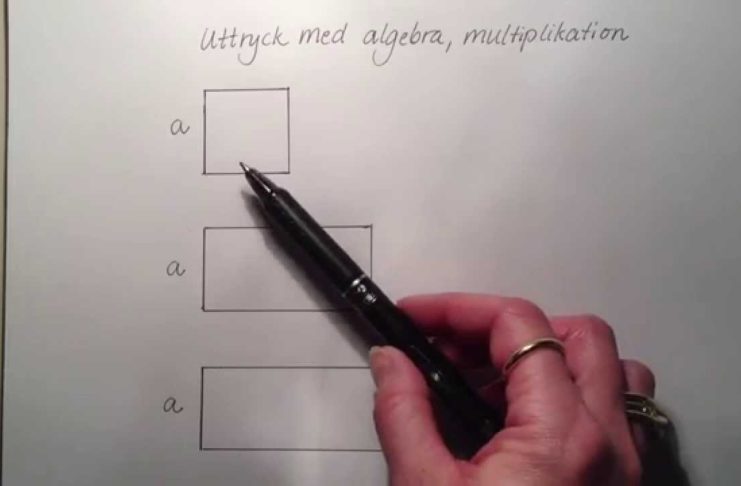 Algebra – multiplikation